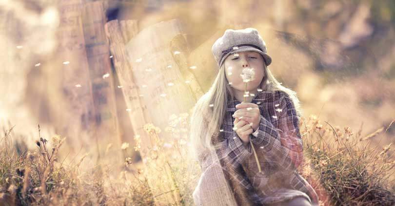 blog