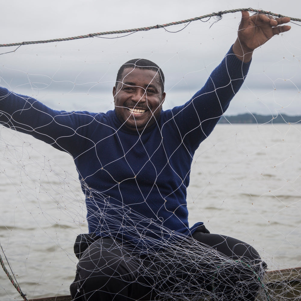 Seatrees Plus Climate