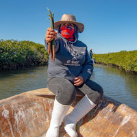 Plant Mangroves in Baja