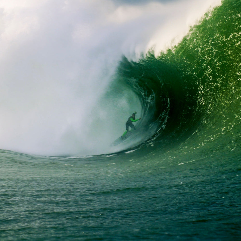 Grow a Kelp Seedling in Nazaré, Portugal