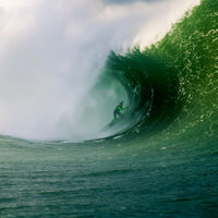 Grow a Kelp Seedling in Nazaré, Portugal