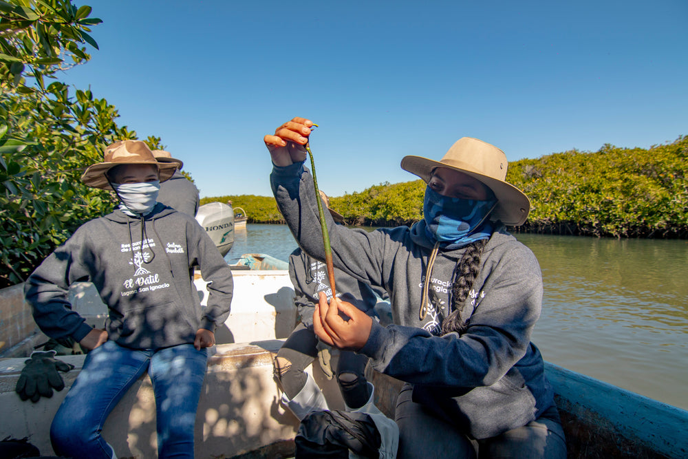 Partner Spotlight: Baja Naturals