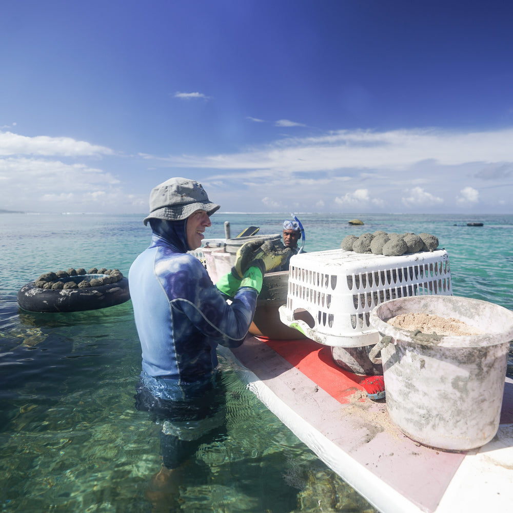 Plant Coral in Fiji