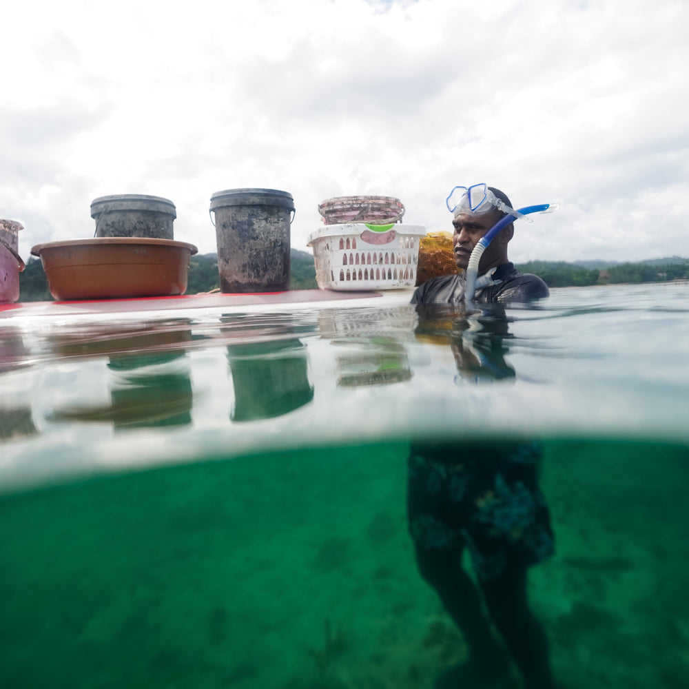 Plant Coral in Fiji