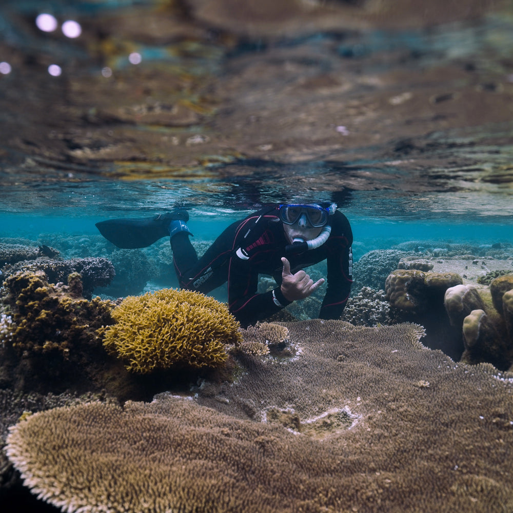 Subscribe to Plant Coral Seatrees in Fiji