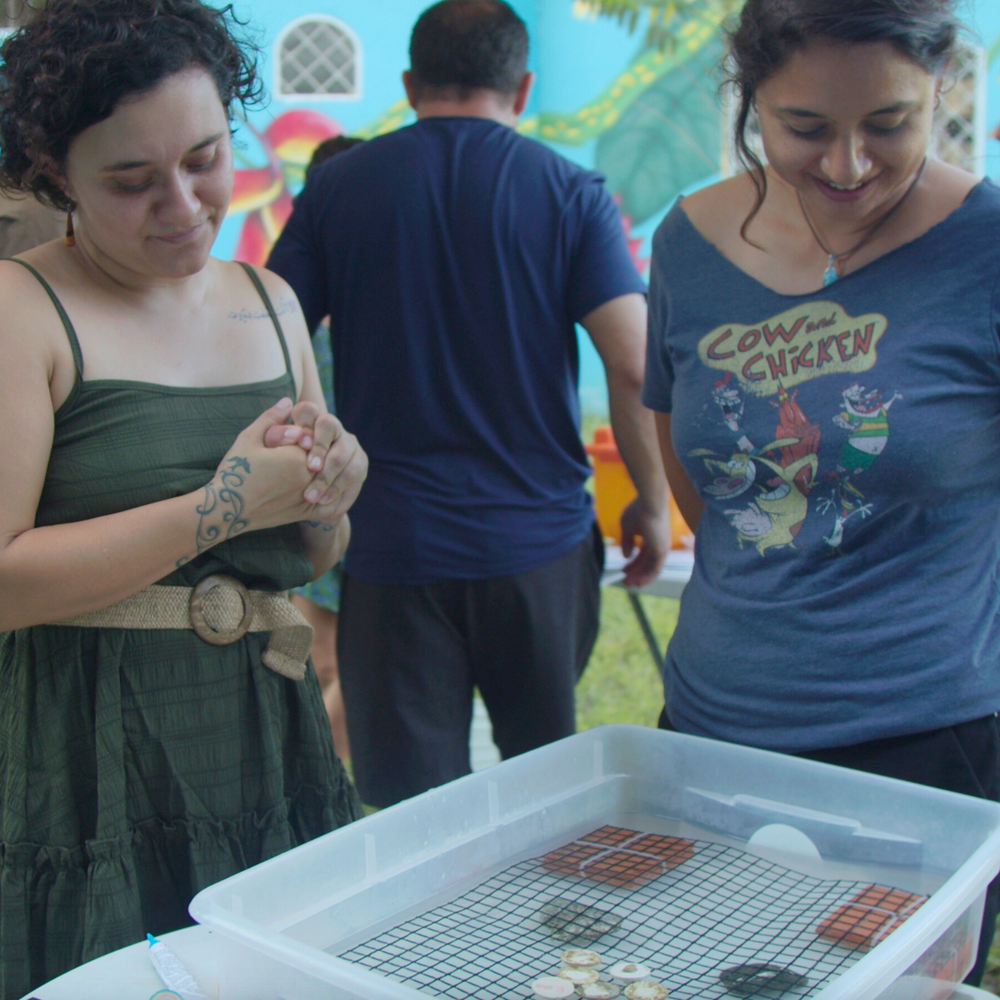 Subscribe to Plant Coral Seatrees in Costa Rica