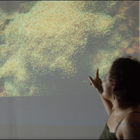 Subscribe to Plant Coral Seatrees in Costa Rica