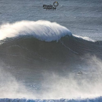 Grow a Kelp Seedling in Nazaré, Portugal