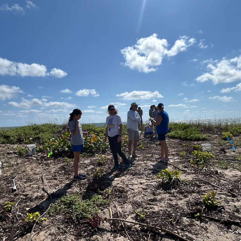 Restore Miami's Watershed