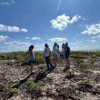 Restore Miami's Watershed