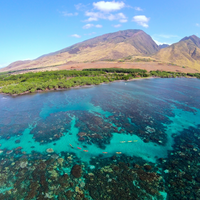 Restore the Watershed at Olowalu, Maui