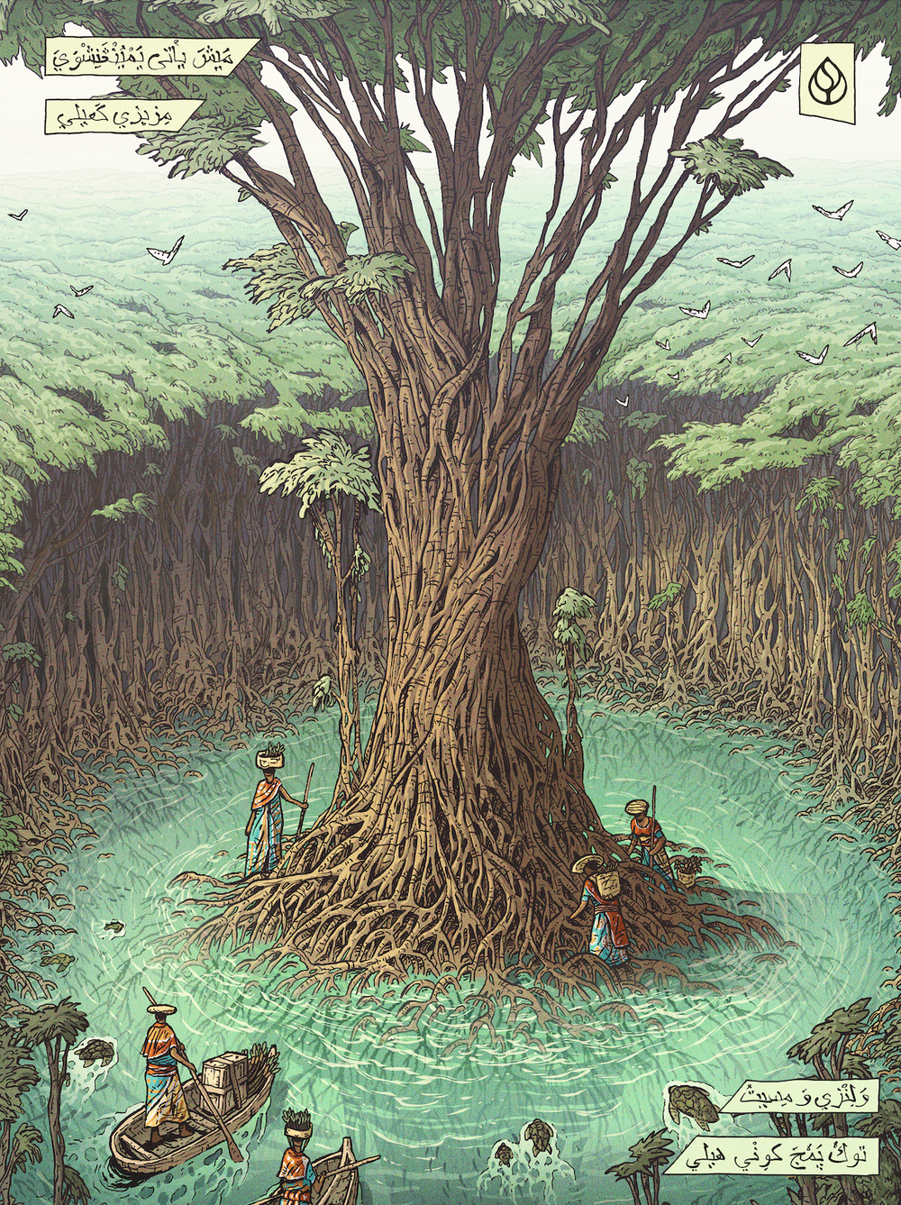 Mangroves Plus Biodiveristy