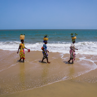 Mangroves Plus Biodiveristy
