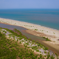 Mangroves Plus Biodiveristy
