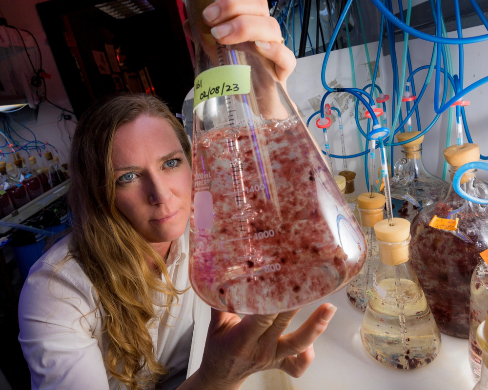 Seatrees Plus Science