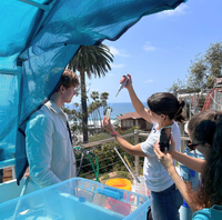 Seatrees Plus Science