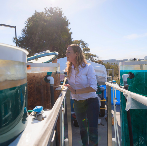 Seatrees Plus Science