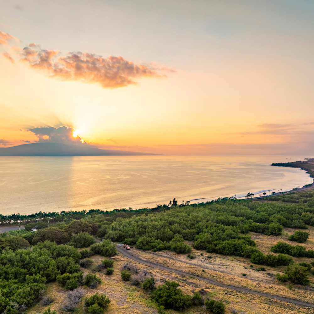 Restore the Watershed at Olowalu, Maui
