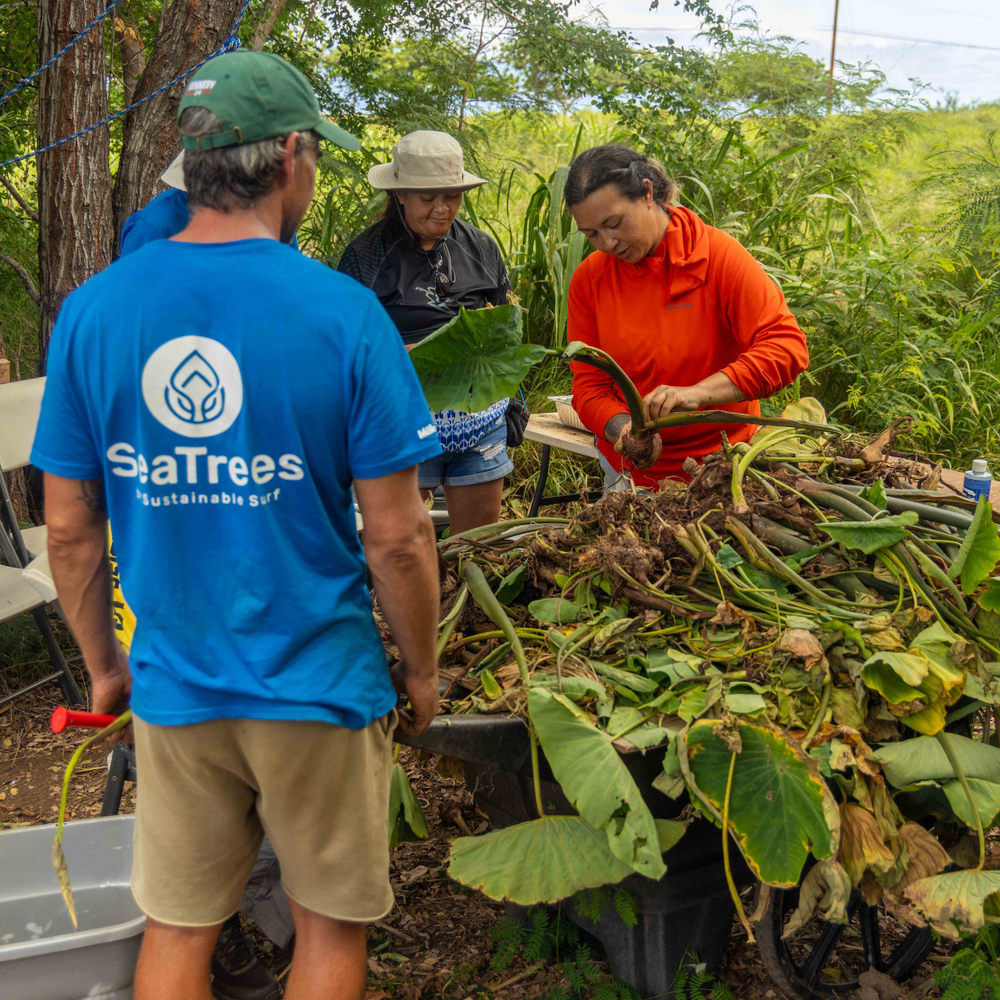 Restore the Watershed at Olowalu, Maui