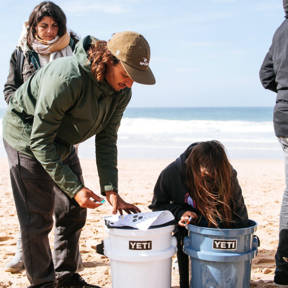 Grow a Kelp Seedling in Nazaré, Portugal