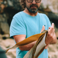 Grow a Kelp Seedling in Nazaré, Portugal