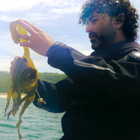 Grow a Kelp Seedling in Nazaré, Portugal