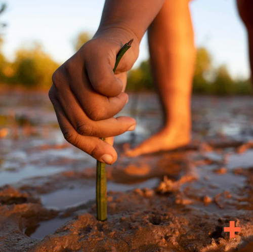 Wipe Out C02 by the Ton