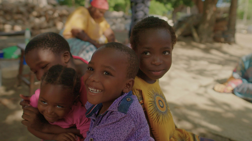 Join SeaTrees on GivingTuesday