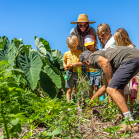 Restore the Watershed at Olowalu, Maui