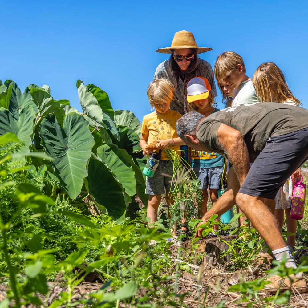 Restore the Watershed at Olowalu, Maui