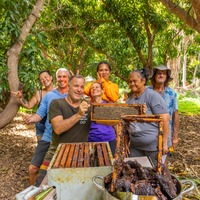 Restore the Watershed at Olowalu, Maui