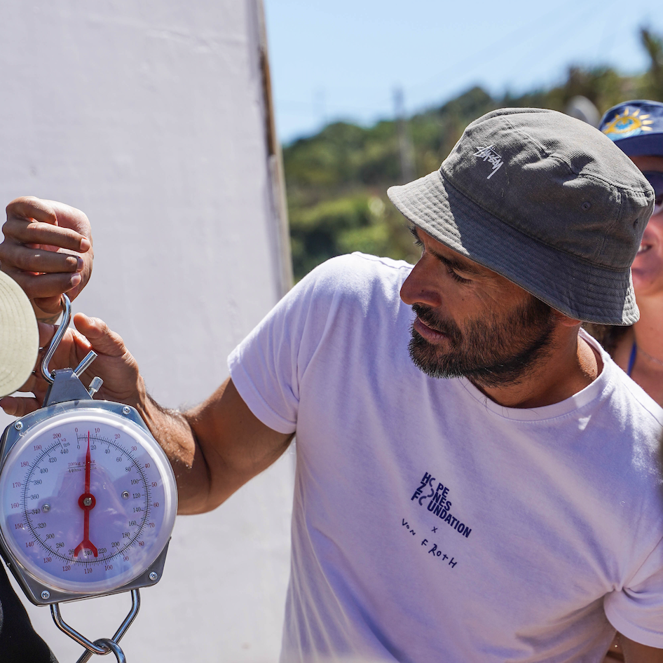 Grow a Kelp Seedling in Nazaré, Portugal